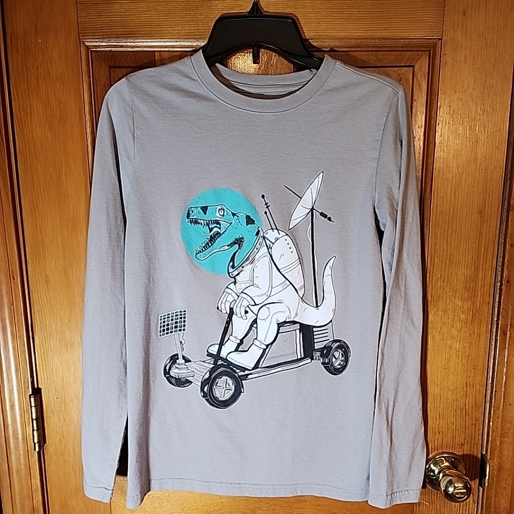 Gray Dinosaur Graphic Long Sleeve Shirt